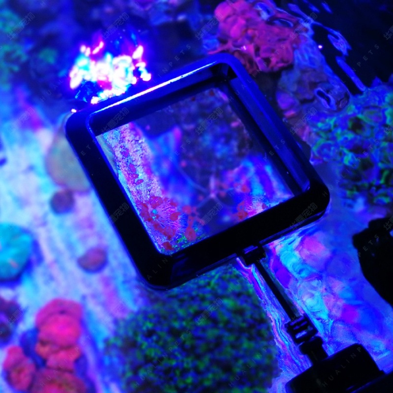 VASTOCEAN Magnetic Feeding Rin - огляд і ціна Aquarium Fish Food
