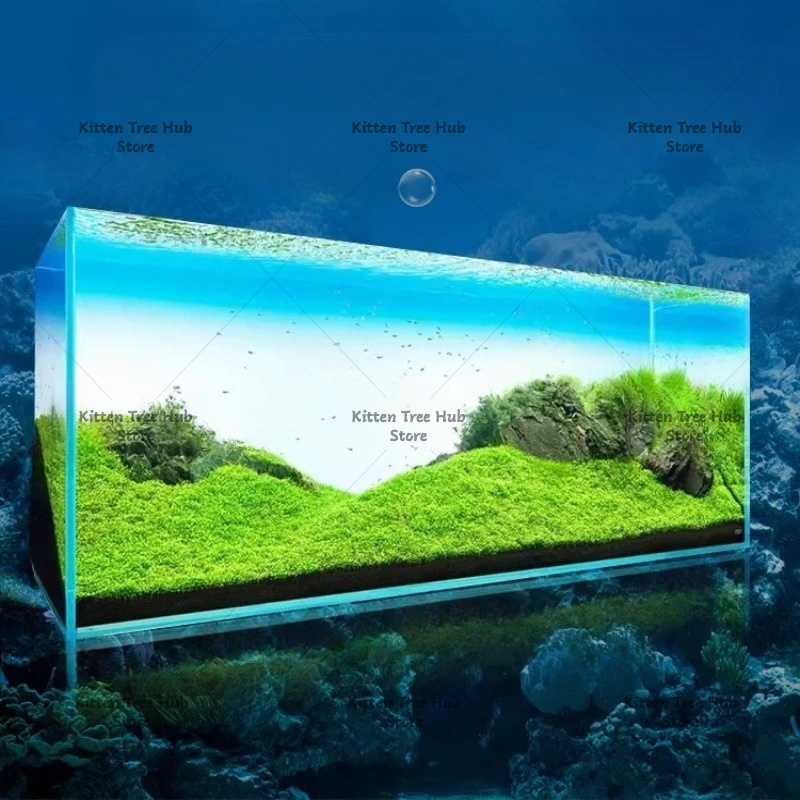 Fish Tank Background Board LED - огляд і ціна Aquarium Fish Rainbow