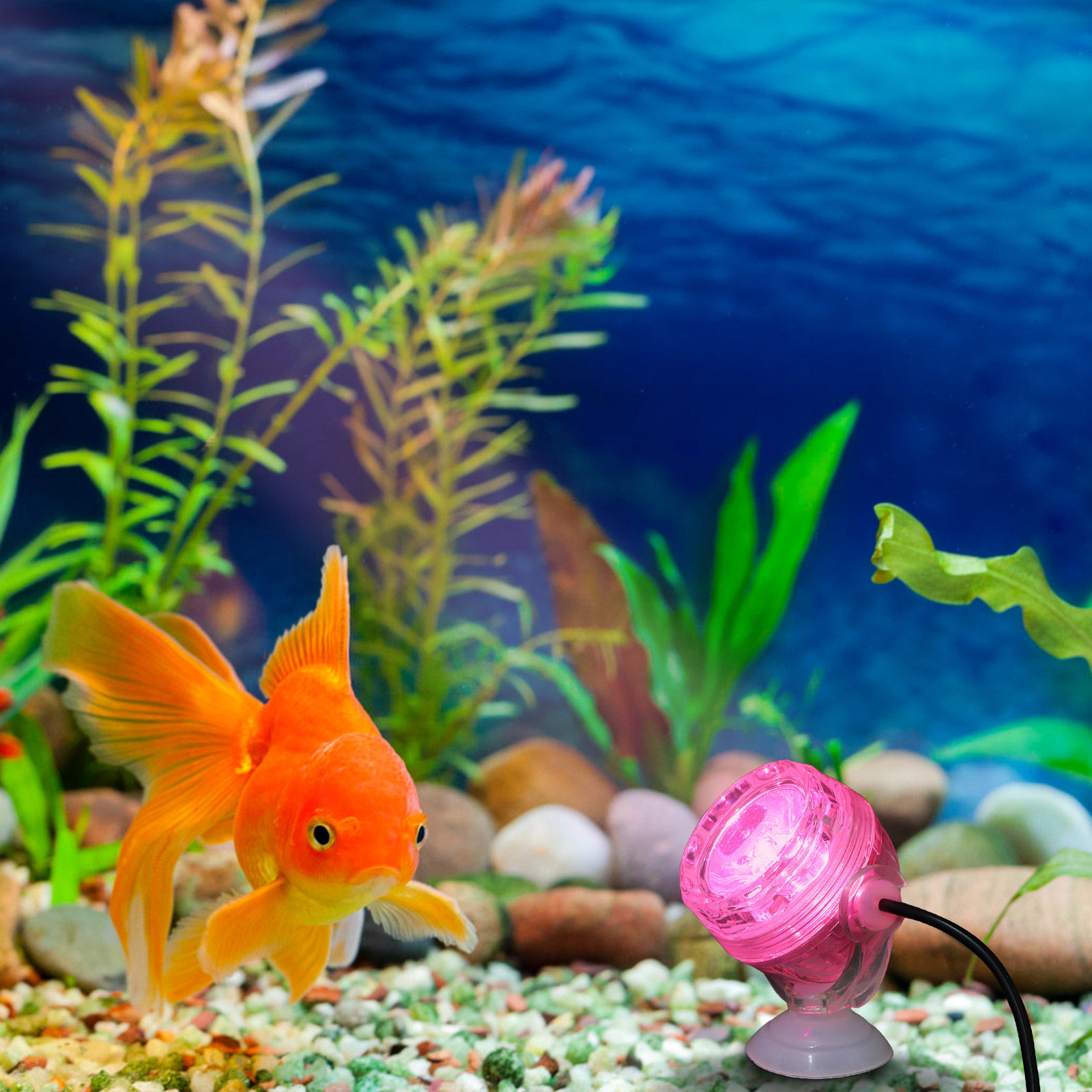 Small LED Aquarium Light Water - огляд і ціна Aquarium Fish Rainbow