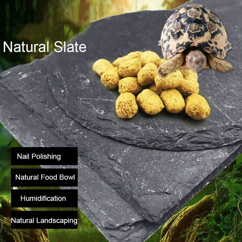 Natural Slate Aquarium Pet Rep - огляд і ціна Aquarium Fish Food