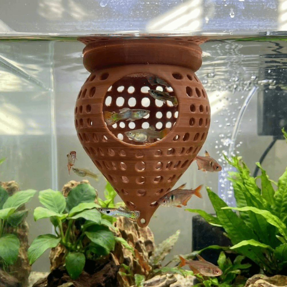 3D Printed Floating Fish Hammo - огляд і ціна Aquarium Fish Food
