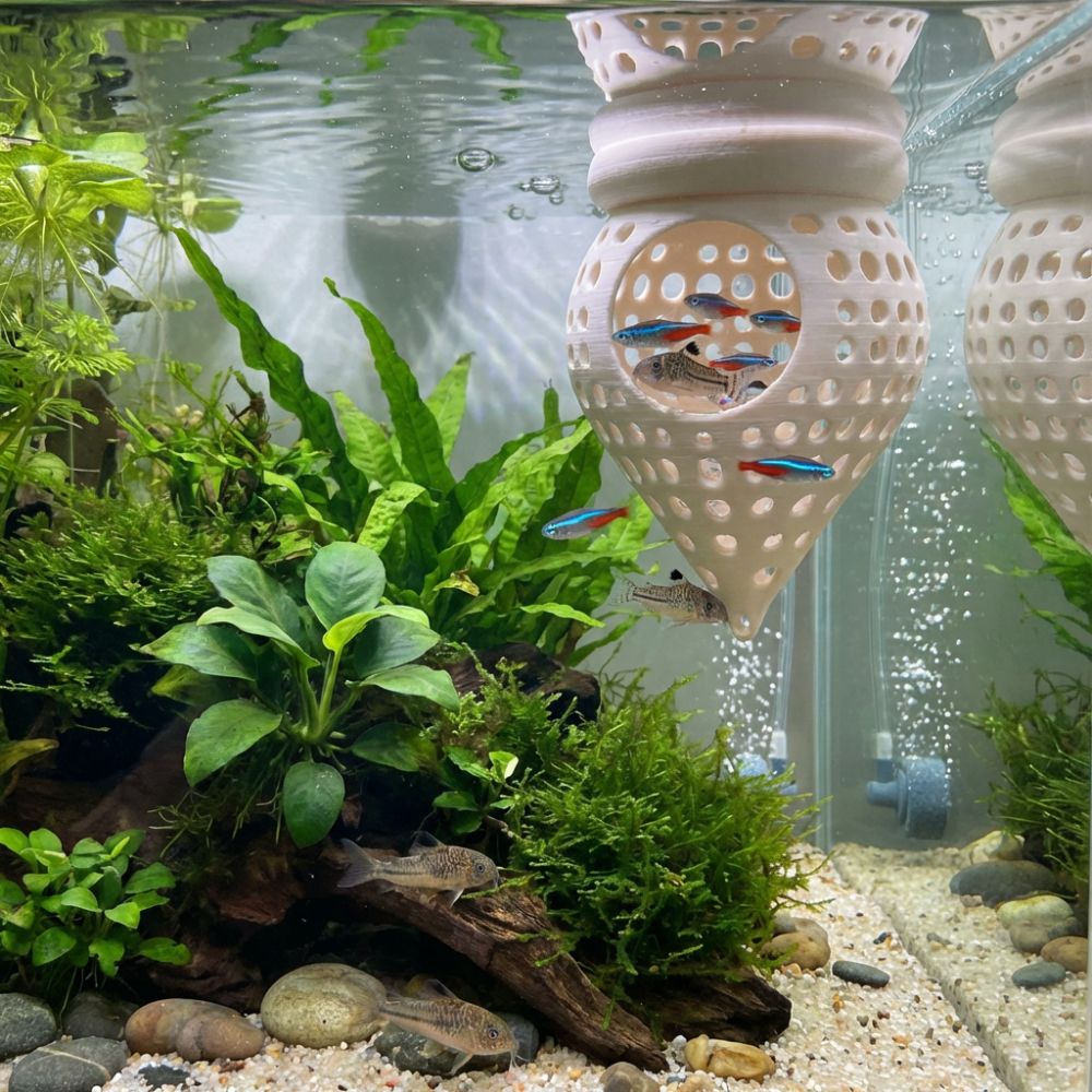 3D Printed Floating Fish Hammo - огляд і ціна Aquarium Fish Food