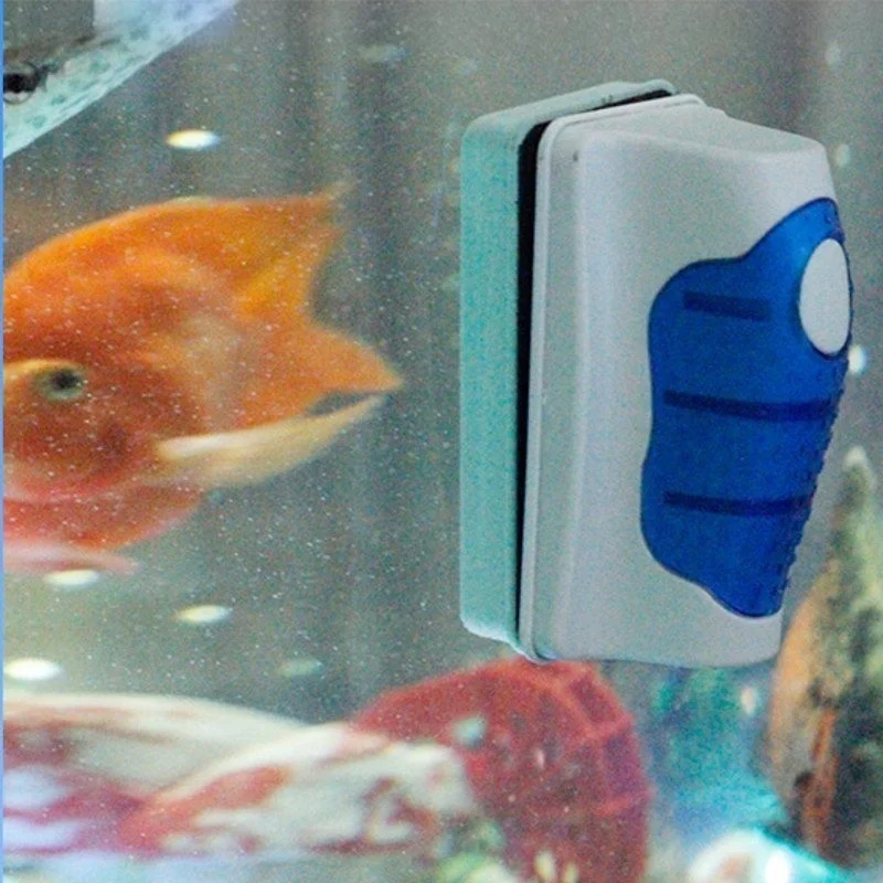 Fish Tank Glass Scraper Cleane - огляд і ціна Aquarium Fish Diseases
