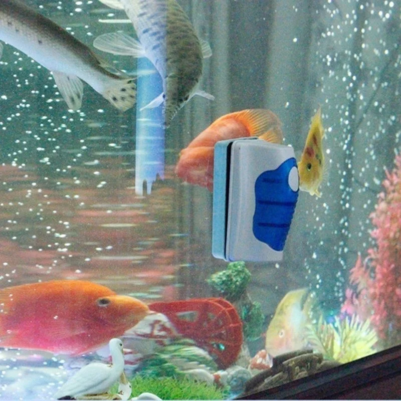 Fish Tank Glass Scraper Cleane - огляд і ціна Aquarium Fish Diseases
