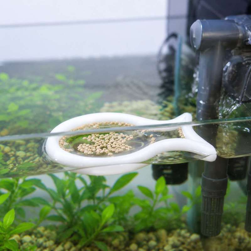Fish Shaped Floating Feeding R - огляд і ціна Aquarium Fish Food