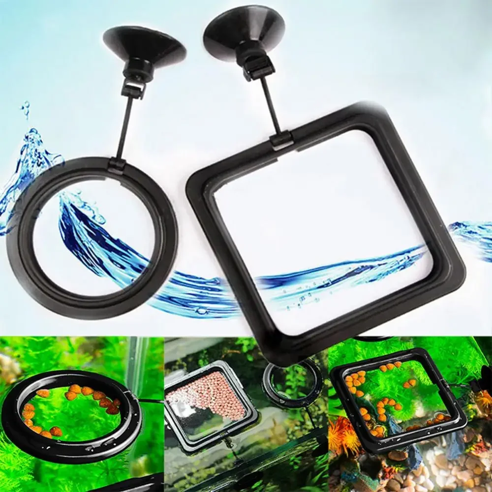 Feed Suction Cup Aquarium Feed - огляд і ціна Aquarium Fish Food