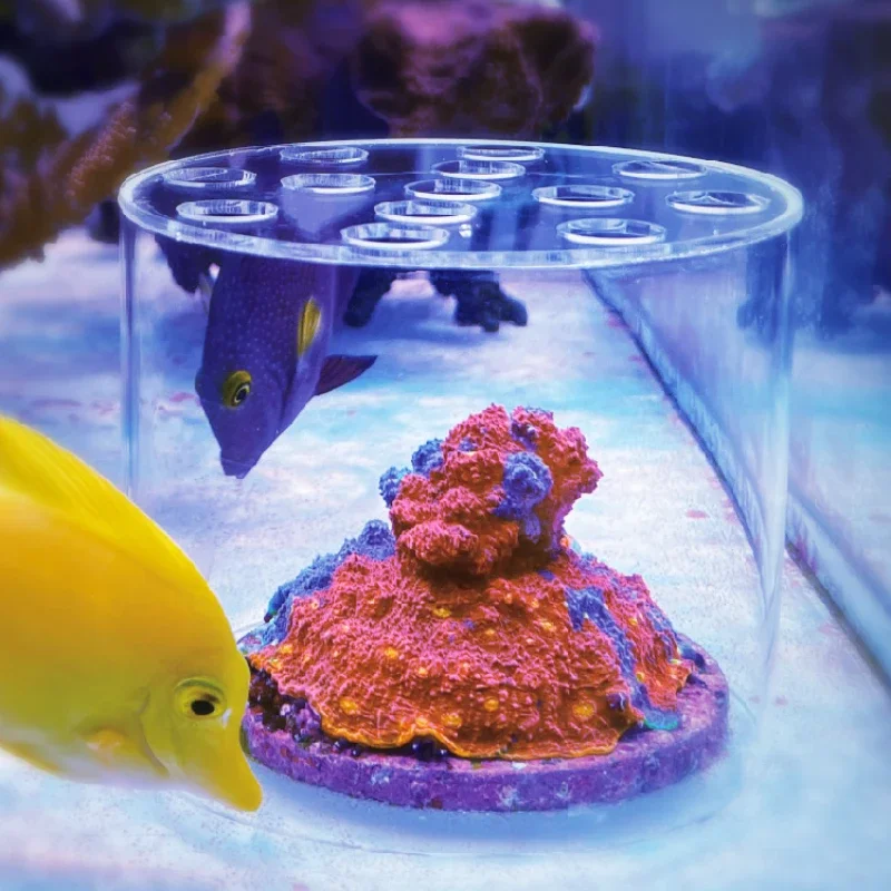 Vastocean Aquarium Arcylic Cor - огляд і ціна Aquarium Fish Food