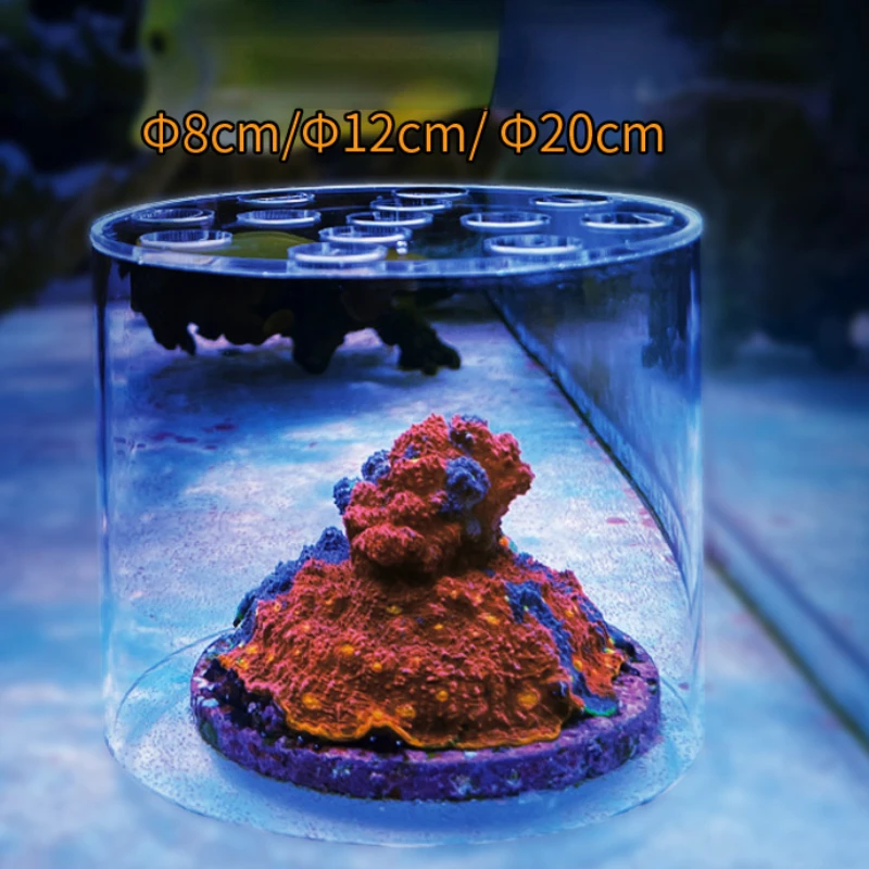 Vastocean Aquarium Arcylic Cor - огляд і ціна Aquarium Fish Food