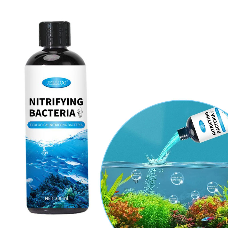 Nitrifying Bacteria Liquid Fis - огляд і ціна Aquarium Fish Diseases