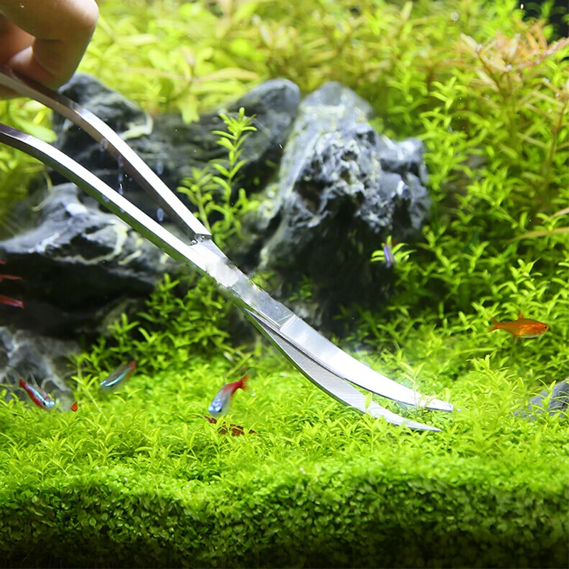 Aquarium Scissor Tools Fish Ta - огляд і ціна Aquarium Fish Diseases