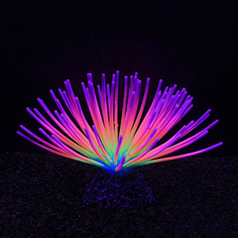 Colorful Aquarium Silicone Cor - огляд і ціна Aquarium Fish Rainbow