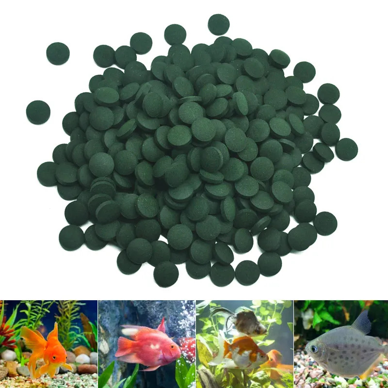 50-300Pcs High Purity Spirulin - огляд і ціна Aquarium Fish Food