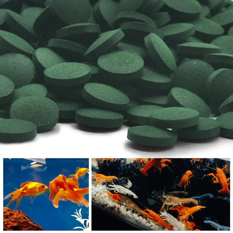 50-300Pcs High Purity Spirulin - огляд і ціна Aquarium Fish Food