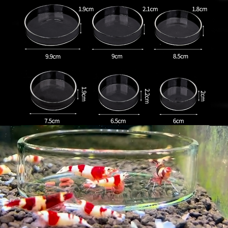 Shrimp Feeding Dish High Trans - огляд і ціна Aquarium Fish Food