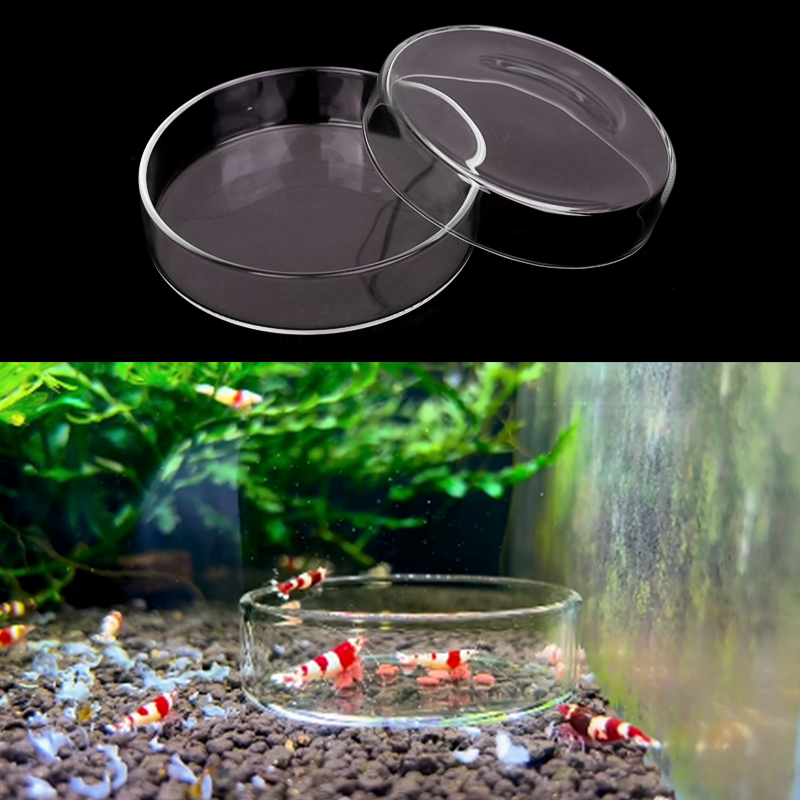 Shrimp Feeding Dish High Trans - огляд і ціна Aquarium Fish Food
