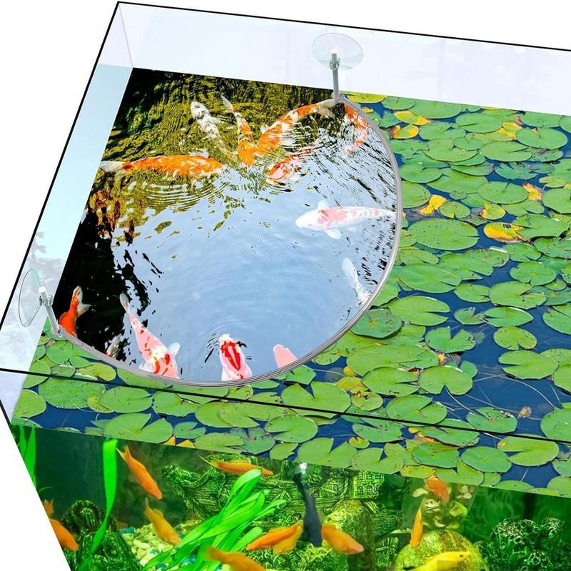 Floating Plant Corral Fish Fee - огляд і ціна Aquarium Fish Food