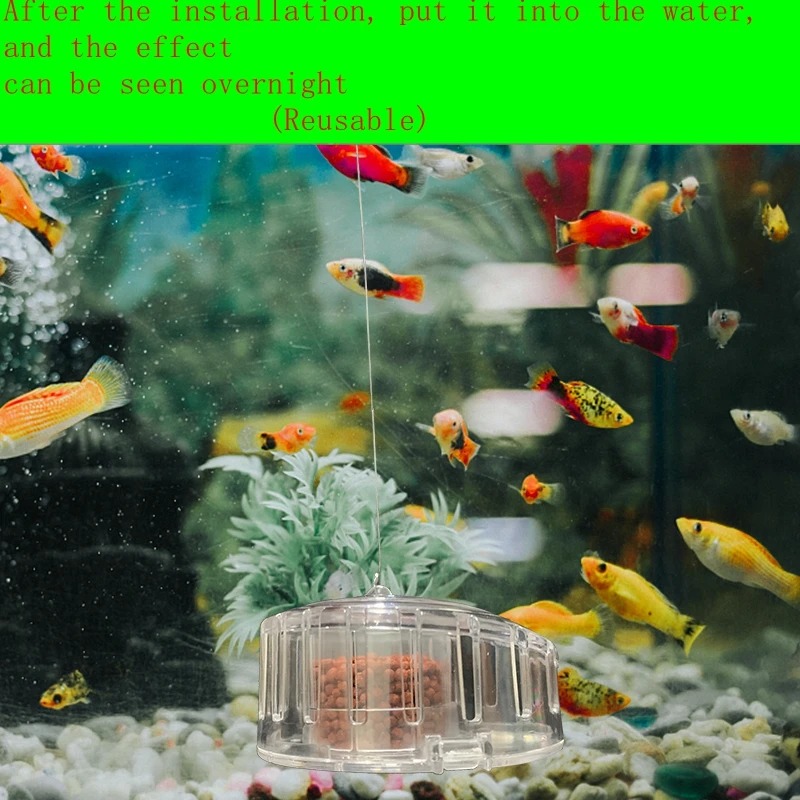 Aquarium Plant Snail Trap Catc - огляд і ціна Aquarium Fish Diseases