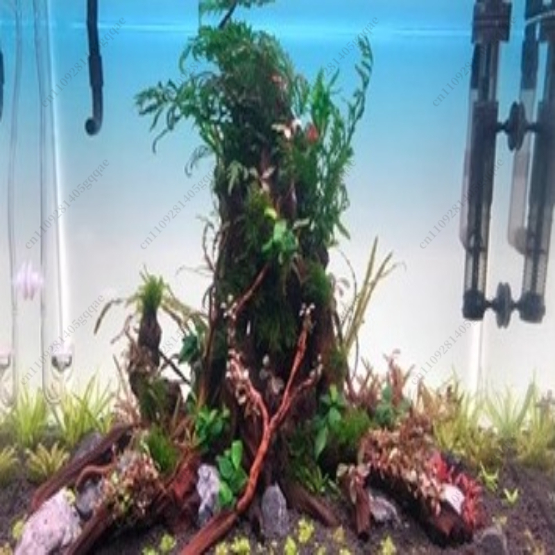 Fish Tank Background Board LED - огляд і ціна Aquarium Fish Rainbow