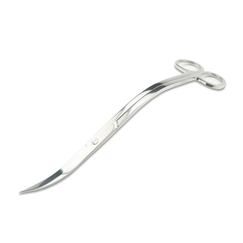 Aquarium Scissors Tweezers Too - огляд і ціна Aquarium Fish Diseases