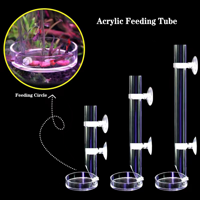 1Pcs Acrylic Aquarium Feeder T - огляд і ціна Aquarium Fish Food