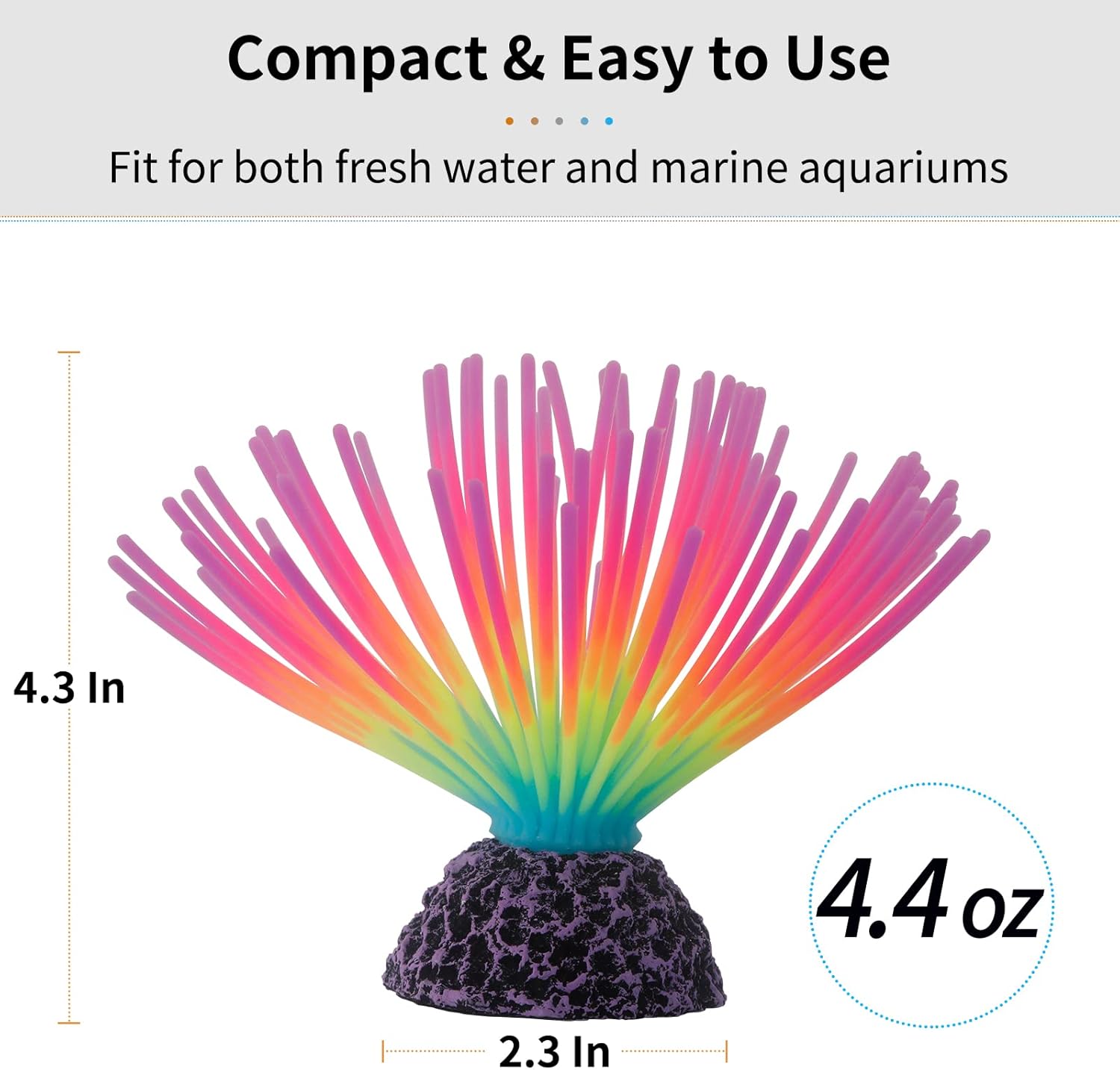 Aquarium Imitative Rainbow Sea - огляд і ціна Aquarium Fish Rainbow