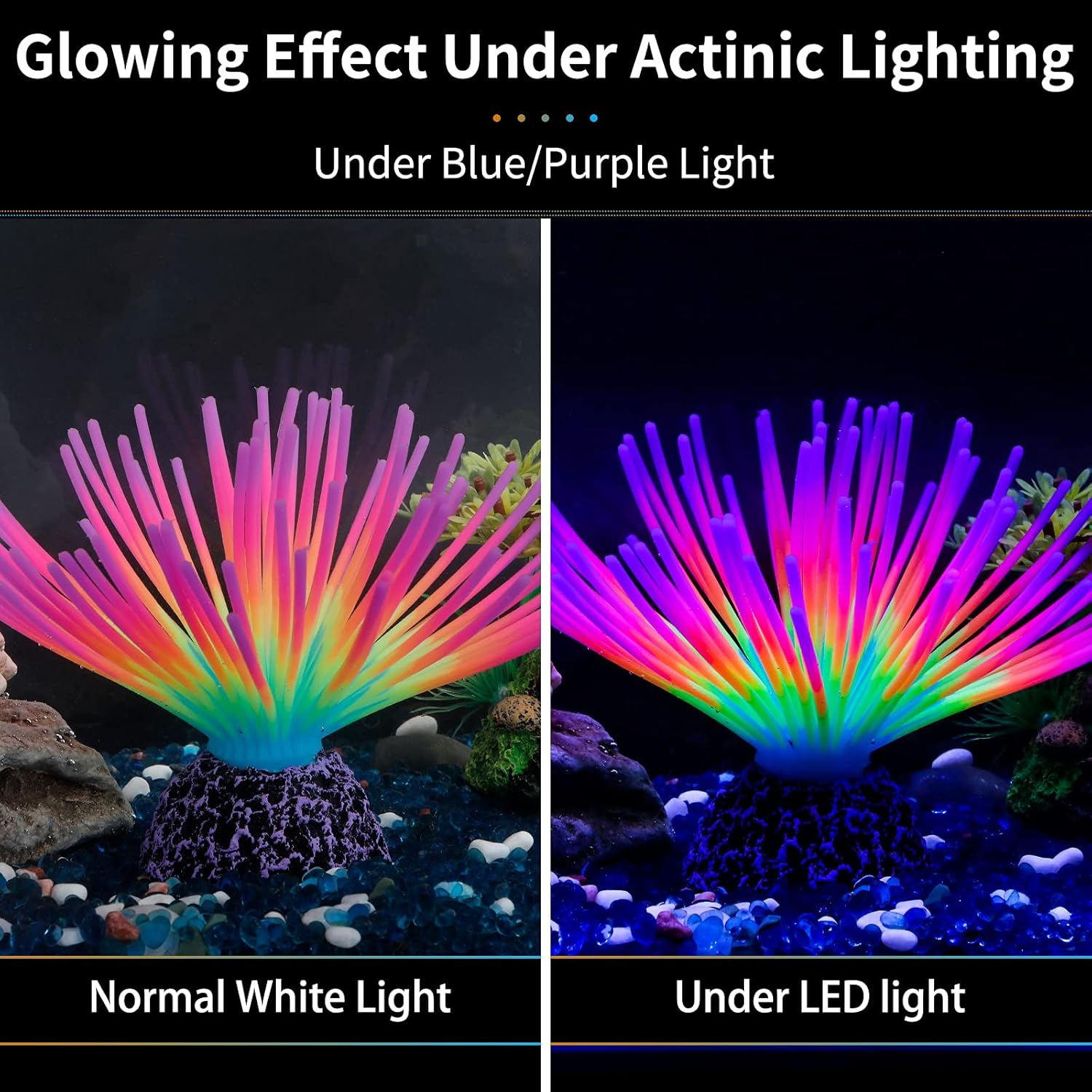 Aquarium Imitative Rainbow Sea - огляд і ціна Aquarium Fish Rainbow