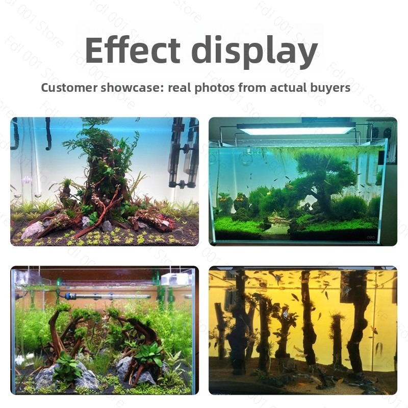 Fish Tank Background Board LED - огляд і ціна Aquarium Fish Rainbow